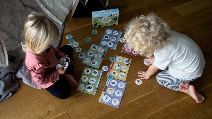 Lotto Animals. Captain Smart - family board game